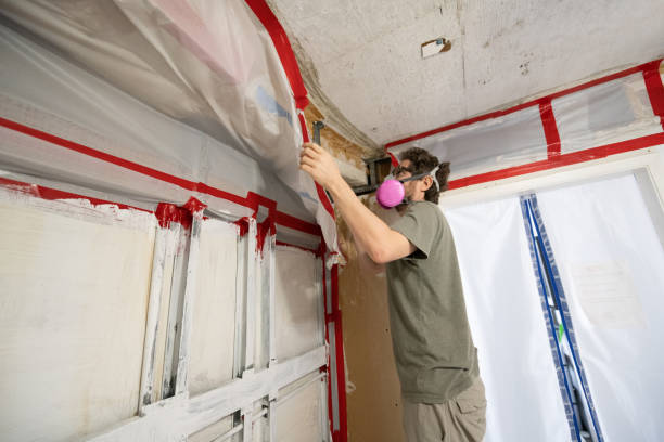 Best Biohazard Mold Removal  in Dumbarton, VA
