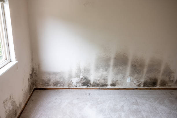 Best Indoor Air Quality Assessment  in Dumbarton, VA